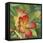 Small Red Flower-Graeme Stevenson-Framed Stretched Canvas