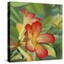 Small Red Flower-Graeme Stevenson-Stretched Canvas