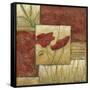 Small Red Lacquer Collage I-Chariklia Zarris-Framed Stretched Canvas