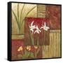 Small Red Lacquer Collage IV-Chariklia Zarris-Framed Stretched Canvas
