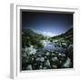 Small River Flowing Through Big Stones in Pirin National Park, Bulgaria-null-Framed Photographic Print