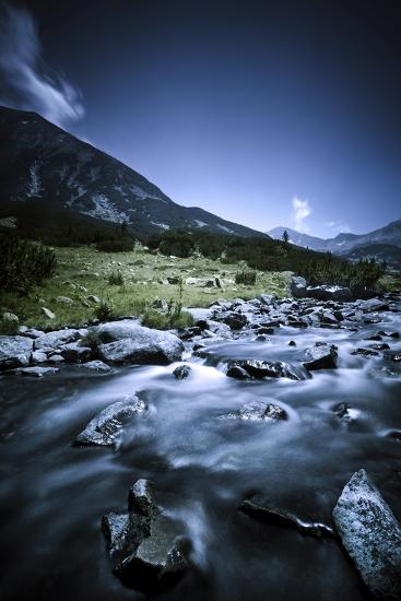 Photographic Print, , large