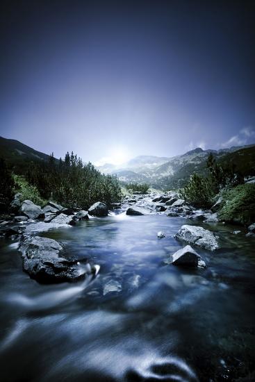Photographic Print, , large