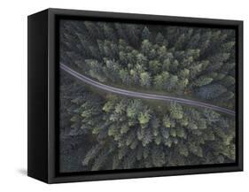 Small road through the forest-Christian Lindsten-Framed Stretched Canvas
