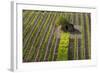 Small Rock Shed in the Vineyards in the Rolling Hills of Tuscany-Terry Eggers-Framed Photographic Print