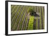 Small Rock Shed in the Vineyards in the Rolling Hills of Tuscany-Terry Eggers-Framed Photographic Print