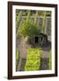 Small Rock Shed in the Vineyards in the Rolling Hills of Tuscany-Terry Eggers-Framed Photographic Print