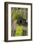 Small Rock Shed in the Vineyards in the Rolling Hills of Tuscany-Terry Eggers-Framed Photographic Print