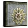 Small Rosette & Damask II-Jennifer Goldberger-Framed Stretched Canvas