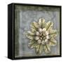 Small Rosette & Damask II-Jennifer Goldberger-Framed Stretched Canvas