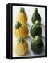 Small, Round, Yellow and Green Courgettes-Debi Treloar-Framed Stretched Canvas