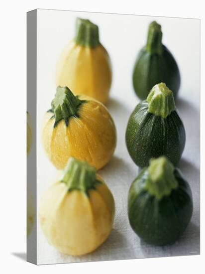 Small, Round, Yellow and Green Courgettes-Debi Treloar-Stretched Canvas