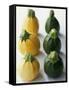 Small, Round, Yellow and Green Courgettes-Debi Treloar-Framed Stretched Canvas