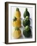 Small, Round, Yellow and Green Courgettes-Debi Treloar-Framed Premium Photographic Print