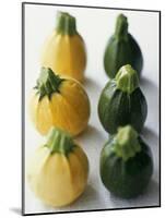 Small, Round, Yellow and Green Courgettes-Debi Treloar-Mounted Photographic Print