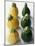 Small, Round, Yellow and Green Courgettes-Debi Treloar-Mounted Photographic Print