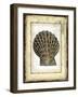 Small Rustic Shell II-Vision Studio-Framed Art Print