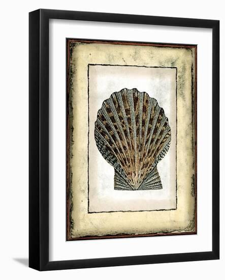 Small Rustic Shell II-Vision Studio-Framed Art Print