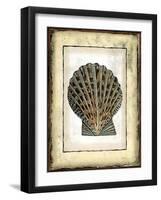 Small Rustic Shell II-Vision Studio-Framed Art Print