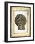 Small Rustic Shell II-Vision Studio-Framed Art Print