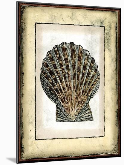 Small Rustic Shell II-Vision Studio-Mounted Art Print