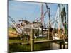 Small Safe Harbor III-Danny Head-Mounted Photographic Print