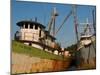 Small Safe Harbor IV-Danny Head-Mounted Photographic Print