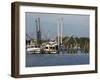 Small Safe Harbor V-Danny Head-Framed Photographic Print