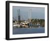 Small Safe Harbor V-Danny Head-Framed Photographic Print