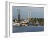 Small Safe Harbor V-Danny Head-Framed Photographic Print