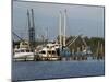 Small Safe Harbor V-Danny Head-Mounted Photographic Print