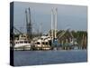 Small Safe Harbor V-Danny Head-Stretched Canvas