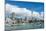 Small sailboats cruise in Auckland harbour in front of the city skyline, Auckland, New Zealand-Logan Brown-Mounted Photographic Print