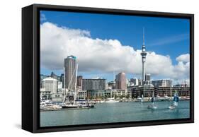 Small sailboats cruise in Auckland harbour in front of the city skyline, Auckland, New Zealand-Logan Brown-Framed Stretched Canvas