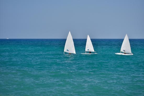 Photo, , large