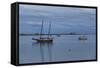 Small Sailing Vessels Cape Cod-Anthony Paladino-Framed Stretched Canvas