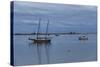 Small Sailing Vessels Cape Cod-Anthony Paladino-Stretched Canvas