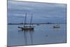 Small Sailing Vessels Cape Cod-Anthony Paladino-Mounted Giclee Print