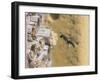 Small scissor bee in flight, Hertfordshire, England-Andy Sands-Framed Photographic Print