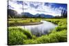 Small Section of the Upper Colorado River in Rocky Mountain National Park-Matt Jones-Stretched Canvas