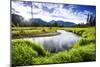 Small Section of the Upper Colorado River in Rocky Mountain National Park-Matt Jones-Mounted Photographic Print