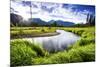 Small Section of the Upper Colorado River in Rocky Mountain National Park-Matt Jones-Mounted Photographic Print