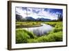 Small Section of the Upper Colorado River in Rocky Mountain National Park-Matt Jones-Framed Photographic Print