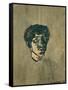 Small Self-Portrait, 1904-Nikolai Astrup-Framed Stretched Canvas