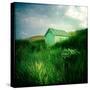 Small Shed in Sandunes-Craig Roberts-Stretched Canvas
