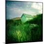 Small Shed in Sandunes-Craig Roberts-Mounted Photographic Print