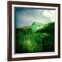 Small Shed in Sandunes-Craig Roberts-Framed Photographic Print