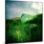 Small Shed in Sandunes-Craig Roberts-Mounted Photographic Print