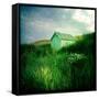 Small Shed in Sandunes-Craig Roberts-Framed Stretched Canvas