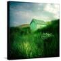 Small Shed in Sandunes-Craig Roberts-Stretched Canvas